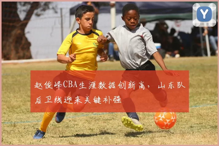 赵俊峰CBA生涯数据创新高,山东队后卫线迎来关键补强