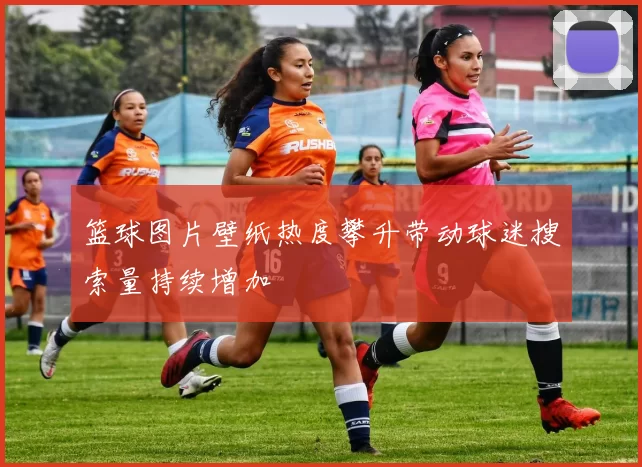 篮球图片壁纸热度攀升带动球迷搜索量持续增加