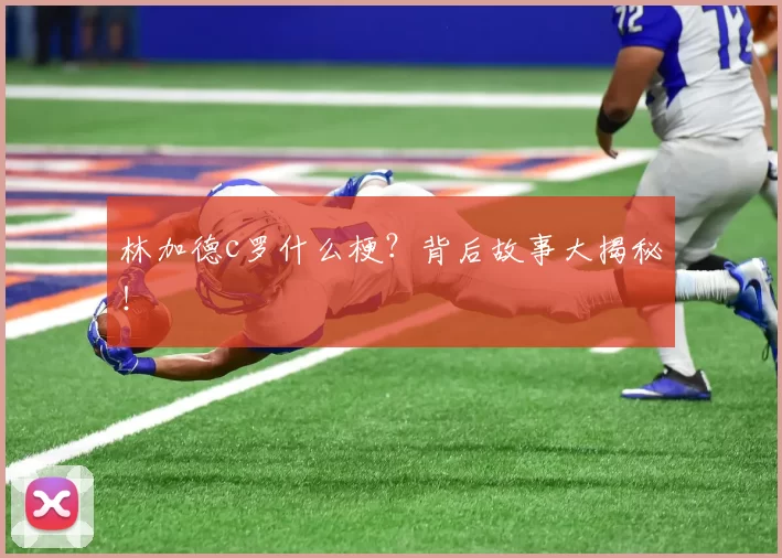 林加德c罗什么梗？背后故事大揭秘！