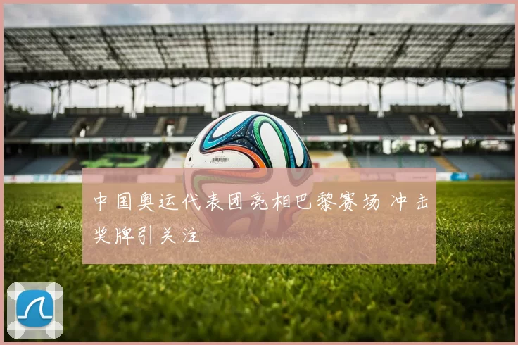 中国奥运代表团亮相巴黎赛场 冲击奖牌引关注