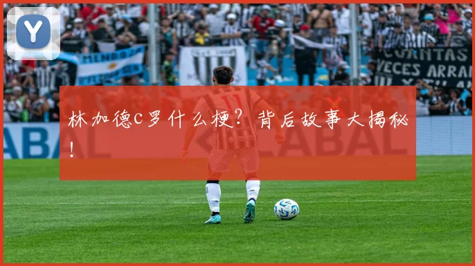 林加德c罗什么梗？背后故事大揭秘！