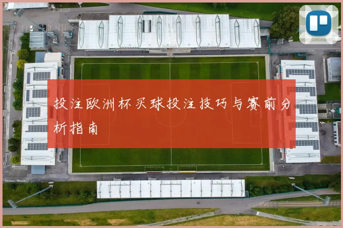 投注欧洲杯买球投注技巧与赛前分析指南
