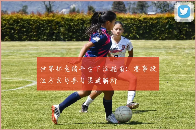 世界杯竞猜平台下注指南:赛事投注方式与参与渠道解析